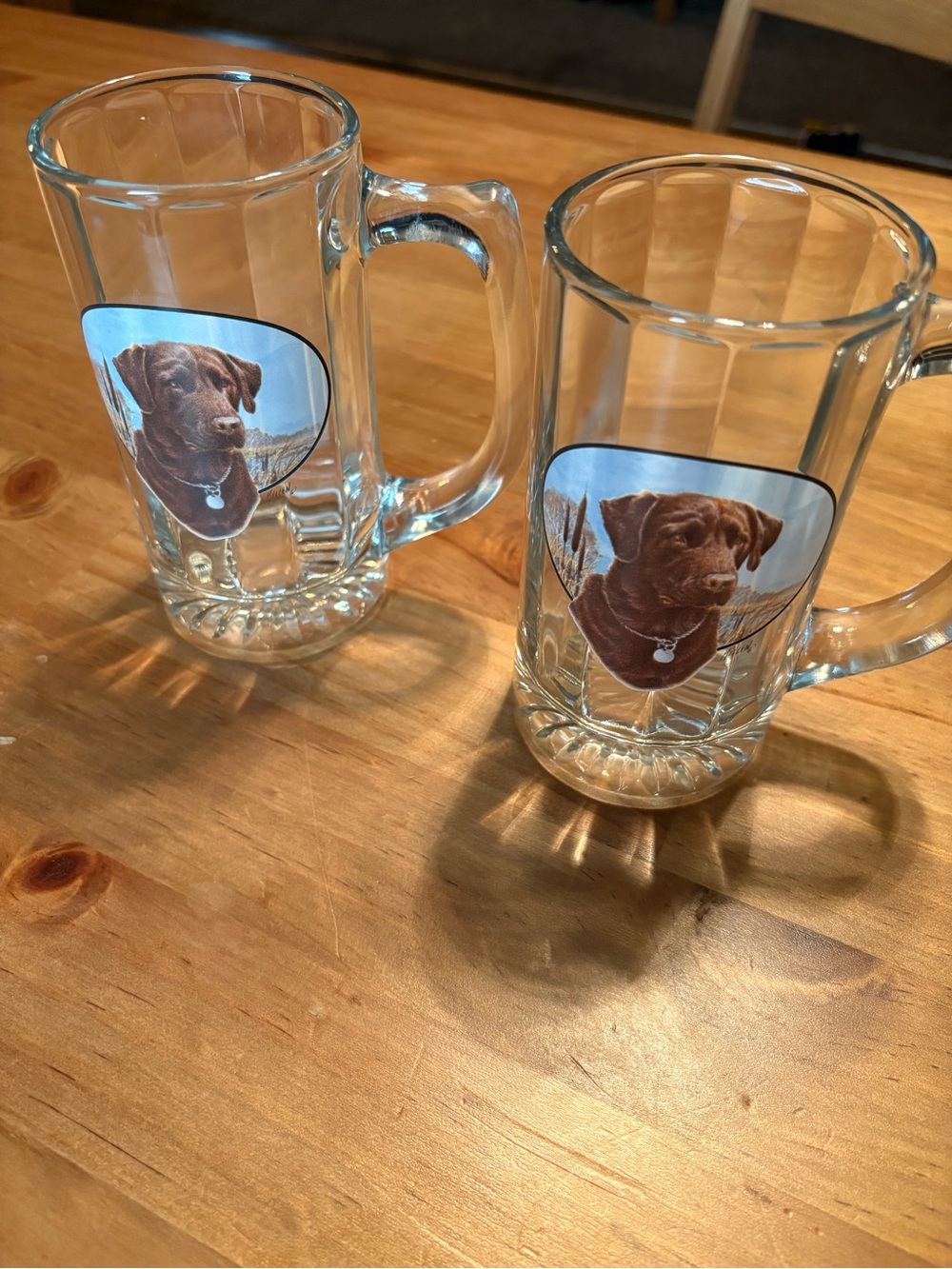 James Killen Chocolate￼ Labrador Lab Brown Beer Mug Glass Stein